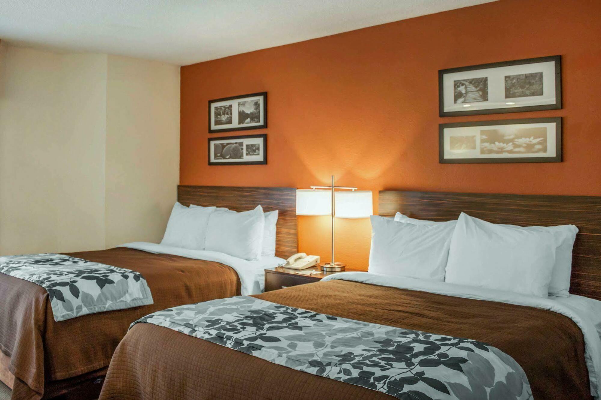 Sleep Inn North Charleston Ashley Phosphate Eksteriør billede
